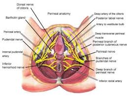Image result for Bartholin's gland abscess