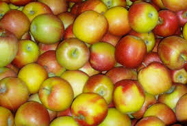 Maybe you would like to learn more about one of these? Les Vergers De Notre Dame Producteur Haute Garonne