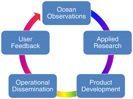 We are delighted with the 4 dining chairs. Bg Recent