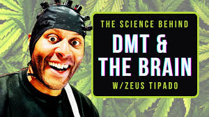 DMT & THE BRAIN w/ psychedelic researcher Zeus Tipado