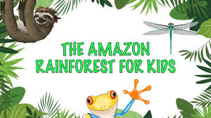Facts About The Amazon Rainforest For Kids Youtube