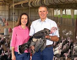 Maybe you would like to learn more about one of these? Mary S Free Range Organic And Heritage Turkeys