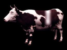 Dairy Cow 3d Model 3dsmax Files Free Download Dairy Cows 3d Model Cow