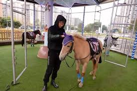 Next up.south african national saddle horse championships, live feed and video on demand. Cruel Merry Go Round Uses Real Horses Chained To Carousel For Hours On End World News Mirror Online