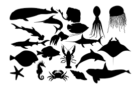 Download Sea Fish Silhouette Svg Digitanza