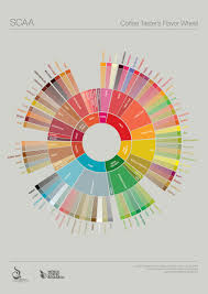 How To Use The Coffee Tasters Flavor Wheel In 8 Steps