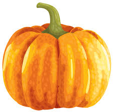 We did not find results for: Orange Pumpkin Clipart Transparent Background
