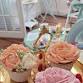 Afternoon Tea at The Cake House