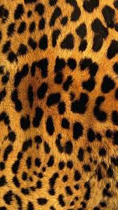 Wallpaper Hayvan Baskilari Hayvan Duvar Kagidi Leopar Deseni