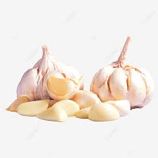 Bawang putih bawang merah png. Gambar Dua Kepala Bawang Putih Dan Bawang Putih Yang Dikupas Clipart Bawang Putih Dua Kepala Bawang Putih Png Dan Clipart Untuk Muat Turun Percuma