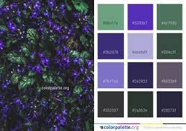 Blue pale green coral birthday color palette icing formulas purple. Blue Purple Violet Color Palette Colorpalette Org