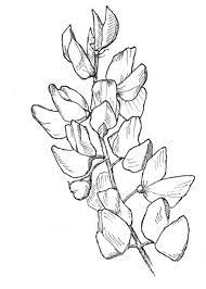 Pin On Flower Designs