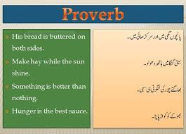 Once there lived a grasshopper with his family. Proverbs With Urdu English Translation Ø¶Ø±Ø¨ Ø§Ù„Ù…Ø«Ù„ Ø§Ø±Ø¯Ùˆ ØªØ±Ø¬Ù…Û Ú©Û' Ø³Ø§ØªÚ¾ Steemit