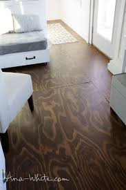 Video How To Stain Plywood Floor Subfloor Flooring Tiny House Build Episode 13 Easy Diy Projects Stained Plywood Floors Plywood Flooring Diy Diy Flooring