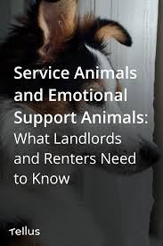 Service Animals And Emotional Support Animals What Landlords And Renters Need To Know Being A Landlord Emotional Support Emotional Support Animal
