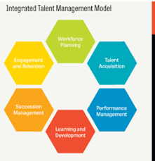 Integrated Talent Management Cplp Examining Integrated Talent Management Itm Is Focused On Building Busi Talent Management Talent Development Management