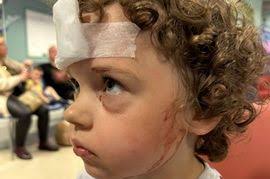 Ros Wynne-Jones Real Britain column: Four families every HOUR being made  homeless even before bedroom tax