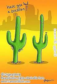 Sara Esthetics At Beauty Brands On The Plaza Kansas City Mo 816 753 8822 Esthetics Cosmetics Quotes Laser Hair Removal