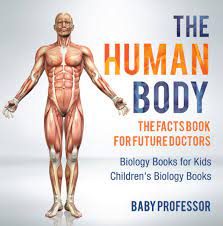 The curious lives of human cadavers by mary roach, atlas of human anatomy by frank h. The Human Body The Facts Book For Future Doctors Biology Books For Kids Children S Biology Books Ebook By Baby Professor Rakuten Kobo