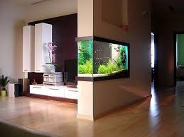 She put the fish back in the clean water where they swam round and round, looking baffled. Aquarios Nas Paredes Ideias De Decoracao Para Casa House Interiores De Casas