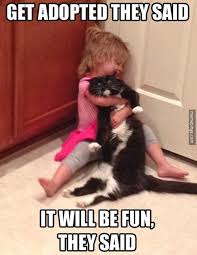 Get Adopted They Said It Will Be Fun They Said Letsgetwordy Caturday And This Is What Can Happen Cute Animals Funny Animal Pictures Funny Animals