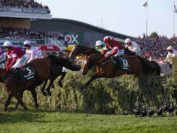 *a full list of the grand national runners and numbers will be available here once the final field is confirmed ahead of april's race*. Virtual Grand National 2020 Your Ultimate Guide To All 40 Runners And Riders