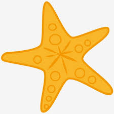 Gambar tersebut bisa anda unduh langsung, caranya silahkan kli. Gambar Musim Panas Pantai Laut Kartun Belimbing Musim Panas Pantai Png Dan Vektor Untuk Muat Turun Percuma