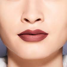 Shiseido ModernMatte Powder Lipstick 508 Semi Nude 4g
