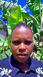 Officielamandabredel