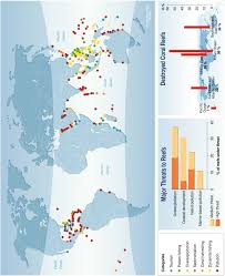 Image result for Pycreus fluminalis