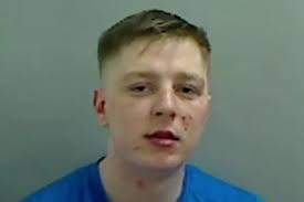 Locked up this year so far: Drugged-up killers and machete-wielding gang  members among those jailed