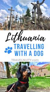 Dog Friendly Lithuania Travelling In Lithuania With A Dog Travelnuity Solo Travel Destinations Europe Travel Europe Travel Destinations