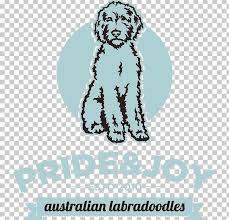 Kitchen equipment australian labradoodle breeders. Labradoodle Goldendoodle Labrador Retriever Golden Retriever Puppy Png Clipart Animals Carnivoran Coloring Book Dog Dog Breed