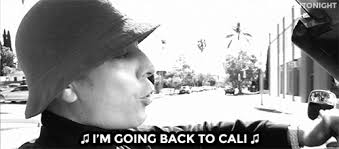 Cali cartel — the cali cartel was a drug cartel based in southern colombia, around the city of cali and the valle del cauca department. The Roots Erica Durance Comedia Gif Find On Gifer