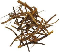 Image result for Cryptolepis