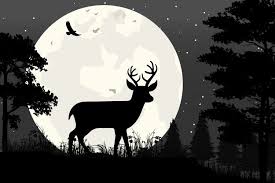 Order today with free shipping. Deer And Moon Silhouette Simple Vector Illustration Design 1146477 Illustrations Design Bundles