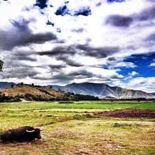 According to the 2010 census, it had a population of 48,845 people. Castillejos Zambales