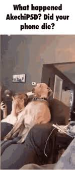 Phone Died Gifs Tenor