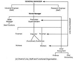 5 Main Types Of Organisation