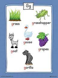 That way, young learners can make the connection between the . Pin On Ingles