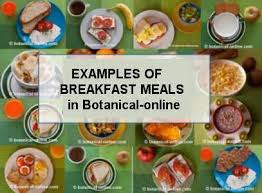 For some of us, the length of time between this meal may be 12 hours or lo. Healthy Breakfasts Examples Botanical Online