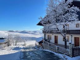 ️ akcija traje do 10. Guest House Vila Djokic Zlatibor Azurirane Cene Za 2021 Godinu