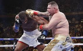 After accumulating a standout amateur record, the destroyer turned pro at 19 to pursue his dream of become boxing's first heavyweight champion. Saudi Arabia Accused Of Sportswash For Hosting World Heavyweight Fight The Times Of Israel