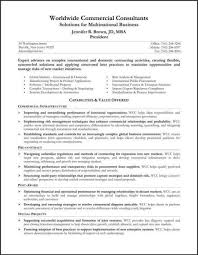 example resume addendums distinctive