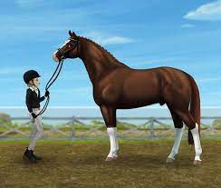fanart starstable cheval