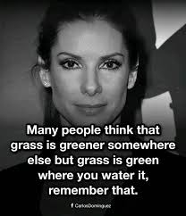 Profile for Reefview Apartments & Cottages Antigua