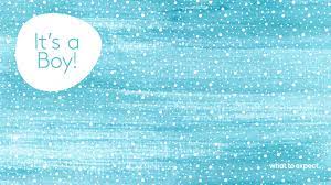 Virtual Baby Shower Zoom Backgrounds How To Use Zoom For A Virtual Baby Shower Fetes Prenatales Garcon Boho Baby Shower Baby Shower Unisexe