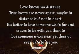 We did not find results for: True Lovers Are Never Apart Maybe In Distance But Not In Heart Idlehearts