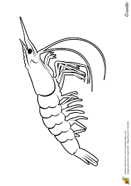 Page 9 Sur 12 Sur Hugolescargot Com Coloriage Coloriage Poisson Dessin Profil