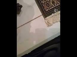 الرقية التي دمرت السحر بكل أنواعه رقية المصرية Ro9ya Char3iya Roqya Chr3iya Sihr Rokia Sihr Youtube In 2020 Youtube